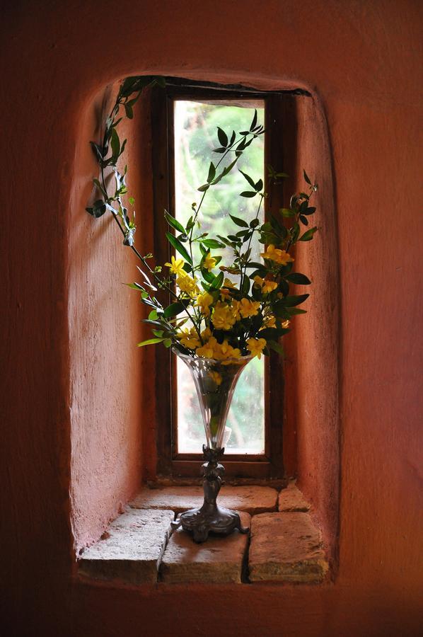 Villa Domenicale Agios Markos Екстер'єр фото